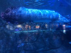 -成都浩海立方海洋公园