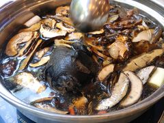 乌鸡锅底-太婆天府山珍酒楼(亚运村店)