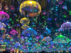 -上海梵高星空艺术馆(南京路旗舰店)