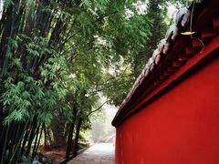 -秦岭风景区
