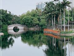 -荔湾湖公园