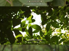 -绍兴启迪乔波冰雪世界