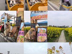 -中国天府农业博览园