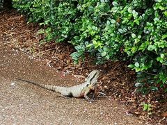 -Emerald Botanic Gardens