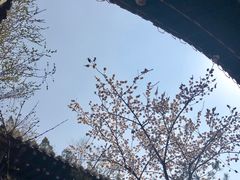 -土楼观-北禅寺