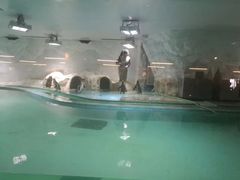 -北戴河圣蓝海洋公园