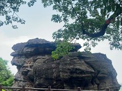 -广州莲花山旅游区