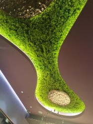 -花隐·美芙炫海菲秀皮肤管理中心