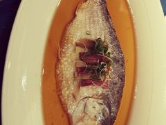 古法秘制蒸鲥鱼-麟1929(外滩店)