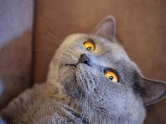 -Me Coffee下午茶艺术空间