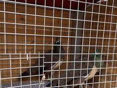 -贵阳蓬莱仙界