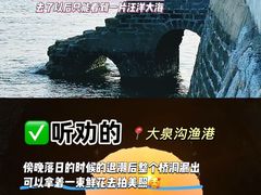 -日照海滨国家森林公园