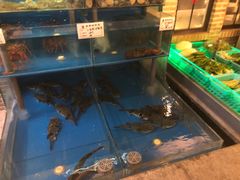 -大唐名家·息壤店