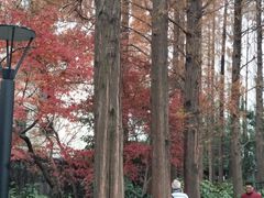 -兰溪青年公园