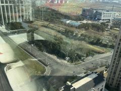 -皇粮浜湿地公园