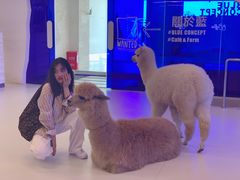 -Blue Concept Cafe&Farm·關於藍