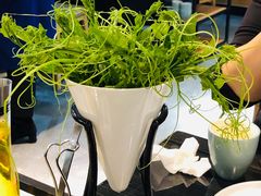 -东椰·海南椰子鸡火锅(朝阳门店)