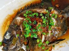 -顺德了能馆(虎门店)