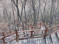 -大岭沟猕猴桃谷风景区