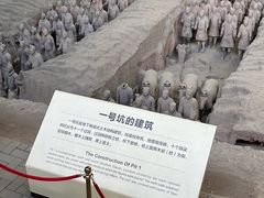 -秦始皇帝陵博物院(兵马俑)