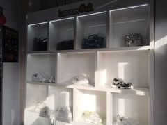 -翰皇直营洗衣洗鞋(望京鹿港店)