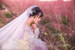 -索菲亚摄影会所