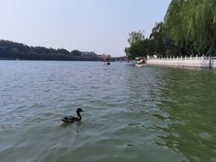 -南关北海公园