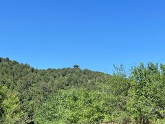 -北京西山国家森林公园