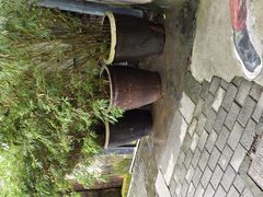 -鹅滋道(甘坑古镇店)