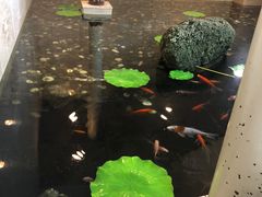 -高丽苑韩国烤肉(海昌路旗舰店)