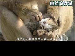-昆明动物园