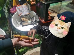 -酷嗒动物文化乐园(cutezoo西溪乐天城店)