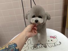 -FAELING PETS美天灵宠物(富力广场店)