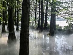 -东湖落雁景区