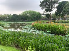 -顺峰山公园