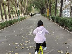 -长白岛森林公园