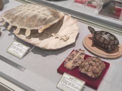 -北京中医药大学-中医药博物馆