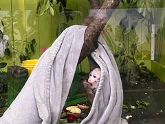 -广州长隆野生动物世界