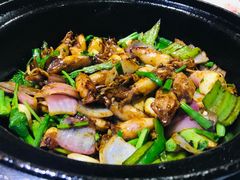 -石岐乳鸽村(南海第三分店)