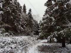 -武陵山森林公园