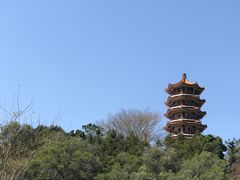 -深圳仙湖植物园
