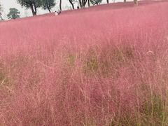 -汉长安城未央宫国家考古遗址公园