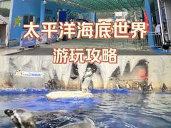 -太平洋海底世界