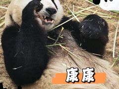 -上海野生动物园
