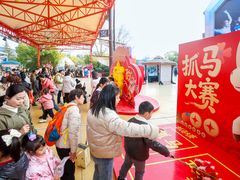 -海合安武汉极地海洋公园