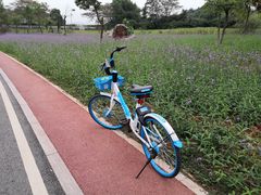 -池州市平天湖风景区