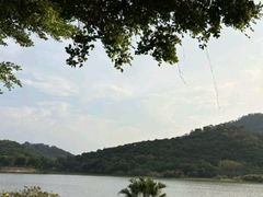 -风云岭森林公园