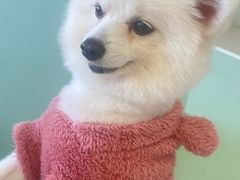 -怪兽屋·羊驼·猫咖·狗咖(俊华广场店)