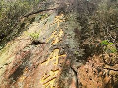 -洪崖丹井