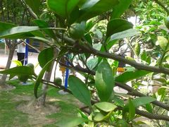 android_upload_pic-双拥公园